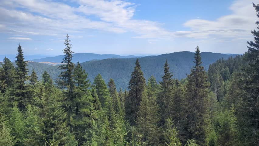 Mountain landscape with green forests on a sunny, clear day. A serene view without any obstructions.