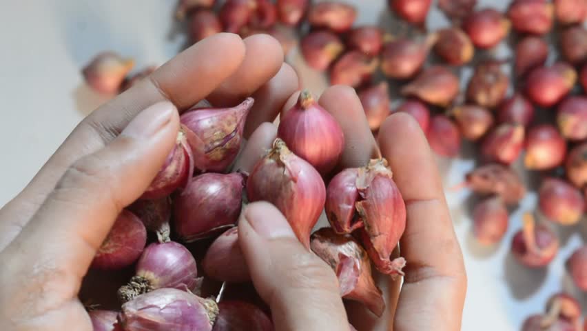 Red purple onion onions vegetable, many angles and view side top front cluster group slice cut isolated on transparent background cutout, PNG file. Mockup template for artwork graphic design