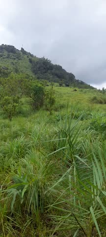A beutiful wiew from Indian kerlam birds sanctuary 