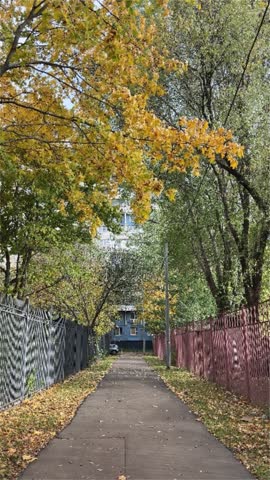 Colorful autumn season in the city or town. Fall path. Beautiful season with orange leaves