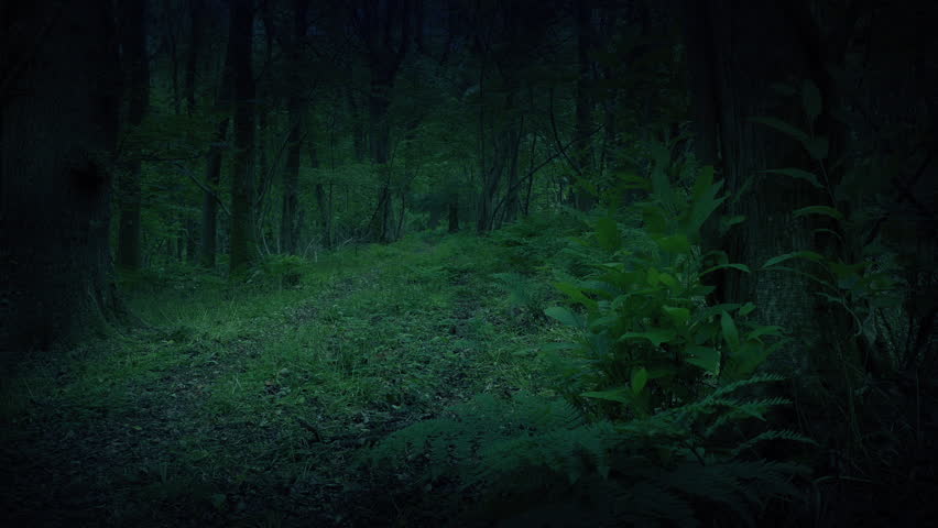 Path Through Dark Scary Woodland

