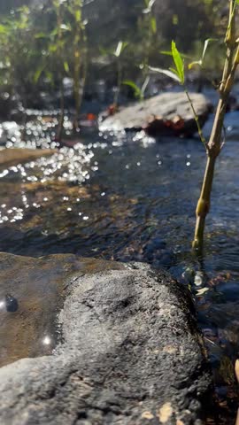 River water flowing at state park 