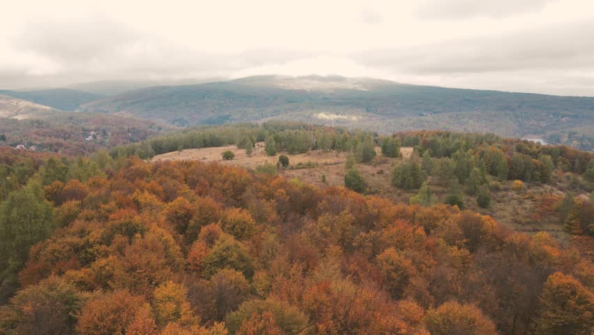 Drone flying over forest and hill near Vlasina lake, Serbia, autumn season