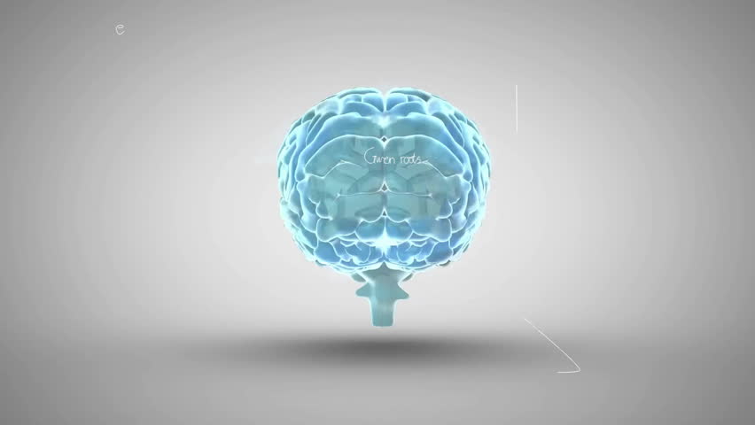 Animation of spinning brain over mathematical equations. Global science and digital interface concept digitally generated video. - Powered by Shutterstock - Get 15% off with code: PIKWIZARD15