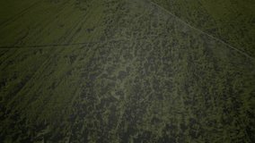 Animation of motivation text and data processing over landscape. Global connections, computing and data processing concept digitally generated video. - Powered by Shutterstock - Get 15% off with code: PIKWIZARD15