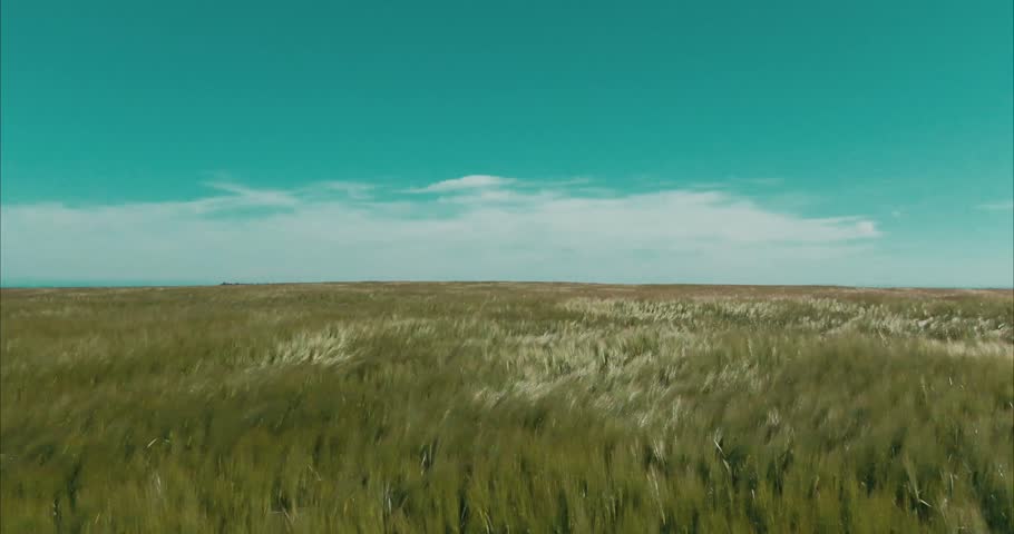 Windy, Grassland, Field, Countryside, Breeze, Meadow, Open Space, Nature, Scenic, Rural, Vast, Horizon, Tranquil, Sky, Greenery, Landscape, Pasture, Farm, Wildflowers, Serenity, Calm, Plains, Hills, E