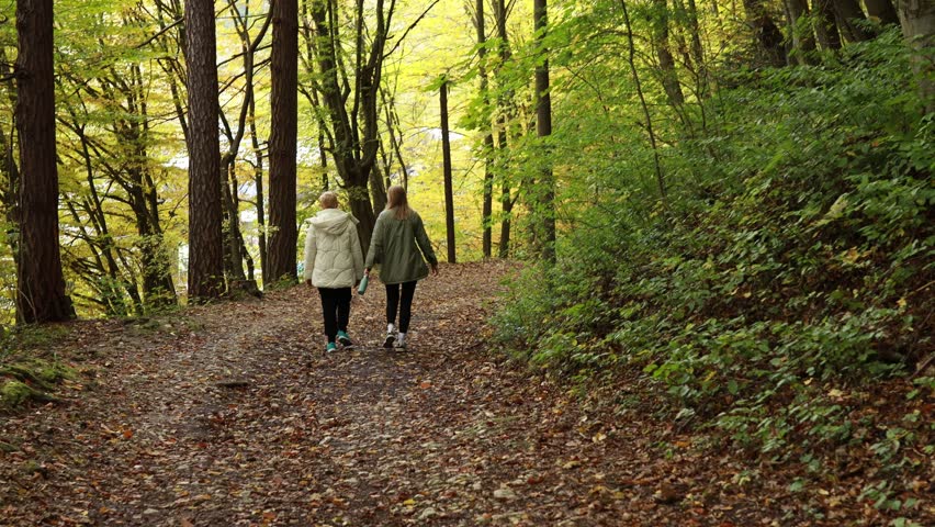 two women walking in autumn forest. group of people walking in wood