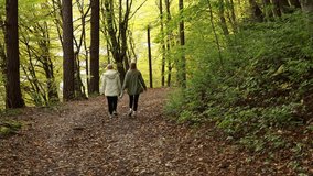 two women walking in autumn forest. group of people walking in wood - Powered by Shutterstock - Get 15% off with code: PIKWIZARD15
