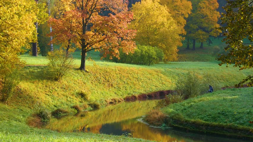 View of a colorful autumn park on a sunny day