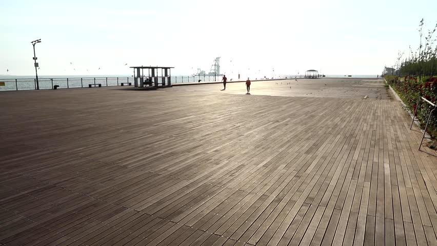 Seagull in Incheon, South Korea