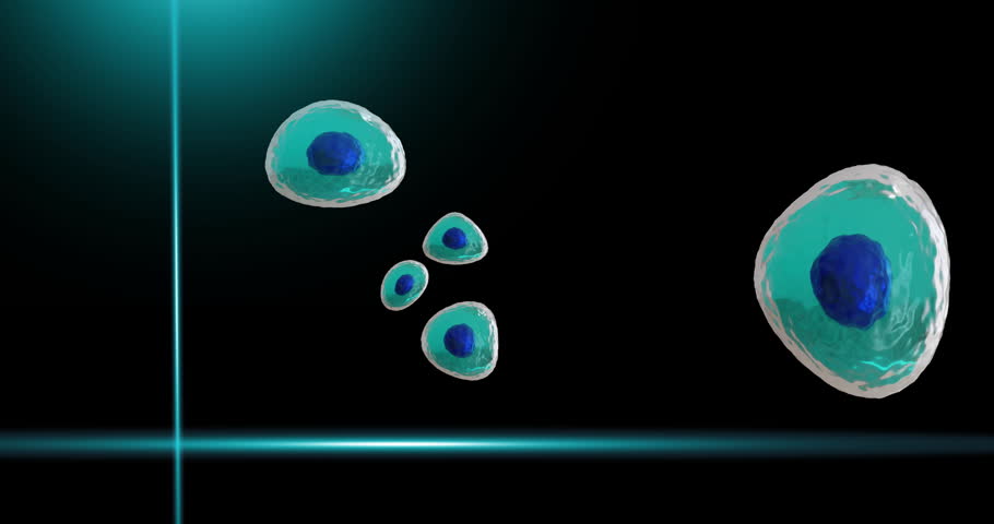 Animation of blue scanner beams over blue cells and interfaces processing data, on black background. Science, data, ai, biology, digital interface and communication, digitally generated video.