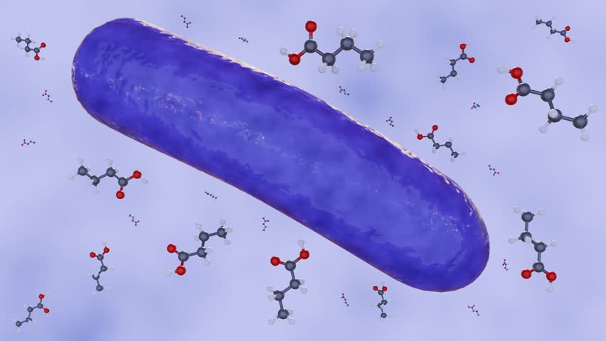 3d animation of butyric acid molecules and bacterium cells, it is a valuable metabolite produced by gut bacteria that contributes to intestinal health and overall well-being.