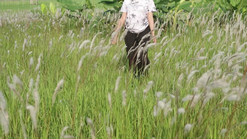 women walk among cogon grass or weeds swaying in the wind. natural scenery in summer.