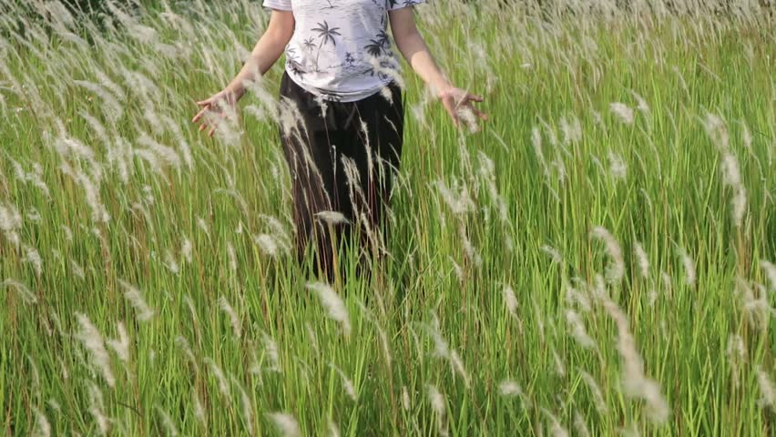 women walk among cogon grass or weeds swaying in the wind. natural scenery in summer.