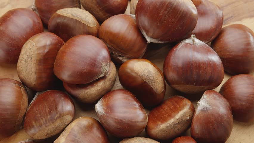 Edible sweet chestnuts move slowly in the frame.