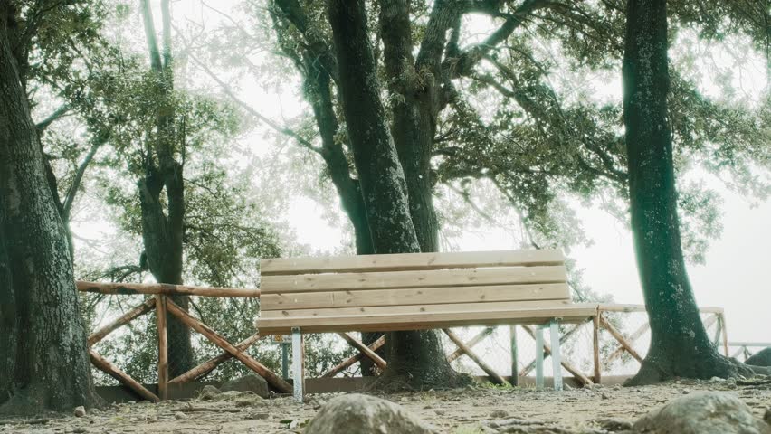 A hiker arrives, rests on a wooden bench, then departs. Misty woodland backdrop frames solitary figure