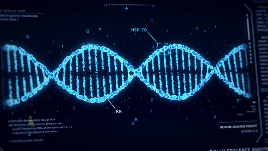 DNA Helix analysis visualization data, genome sequence ui screen, futuristic genetic engineering lab infographic interface, 3D biotechnology scan report dashboard, medical science technology backgound - Powered by Shutterstock - Get 15% off with code: PIKWIZARD15