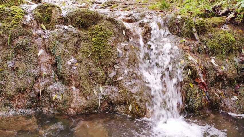 A small waterfall cascades over a moss-covered rock surrounded by autumn leaves, creating a serene and refreshing natural scene, Homole Gorge, Pieniny, Poland