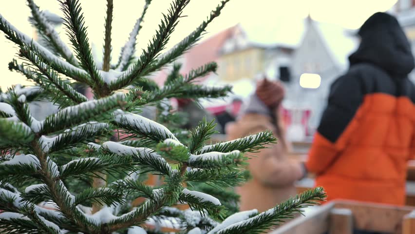 people on a winter skating rink with a Christmas tree. Fir branches and blurred background of skating rink with people skating. Winter holiday background. Strong blur. Soft focus. 4k footage