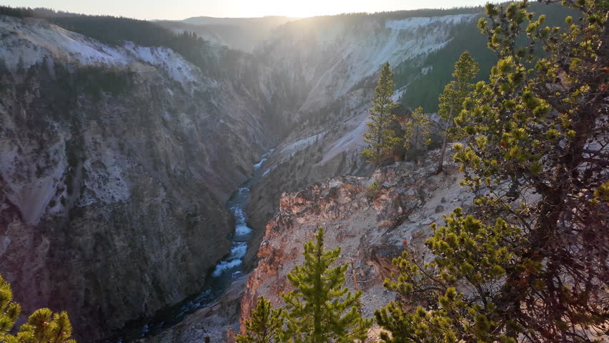 Panning view over the Grand Canyon of the Yellowstone as the wind blows through the pine trees.