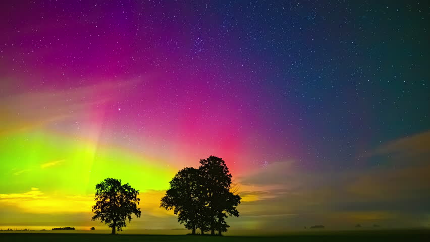 Time lapse of colorful aurora borealis in night sky with stars over two trees