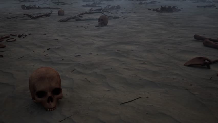 Dystopian, post apocalyptic defense wall on desert arid environment, on night time, with bones scattered all over, dust particles, and 2 soldiers guarding the wall, 3D animation, slow reveal