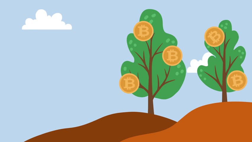 4K video bitcoin Footage with Tree, cloud and Bitcoin Illustration on blue Screen Background. 4k video animated with Plant, Coins bitcoin for Bitcoin Cryptocurrency or Financial Business Animation