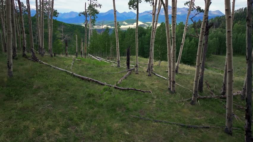 Summer Telluride airport Colorado Rocky Mountains aerial drone vista Ridgway Last Dollar Road Aspen Trees Groove Forest green Ouray Silverton San Juan Mount Sneffels gray cloudy backward slow motion