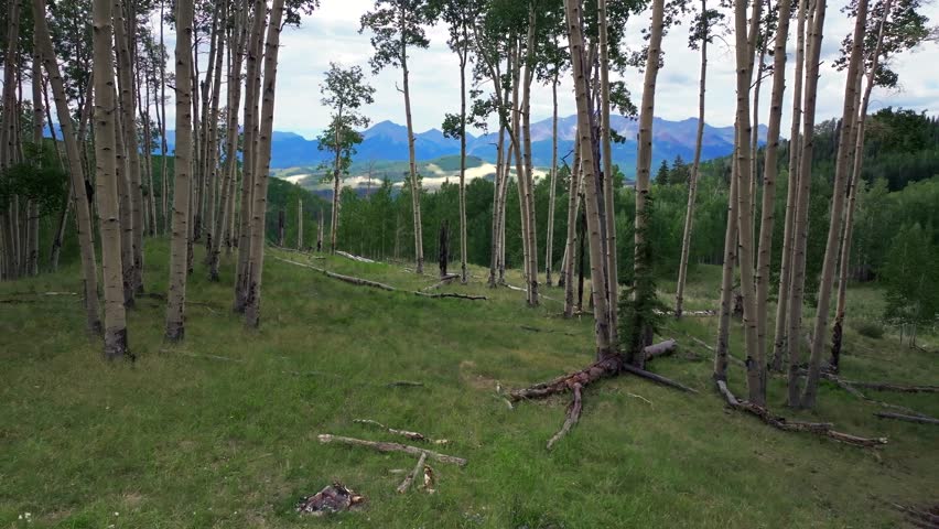 Summer Telluride airport Colorado Rocky Mountains aerial drone vista Ridgway Last Dollar Road Aspen Trees Groove Forest green Ouray Silverton San Juan Mount Sneffels gray cloudy forward slow motion