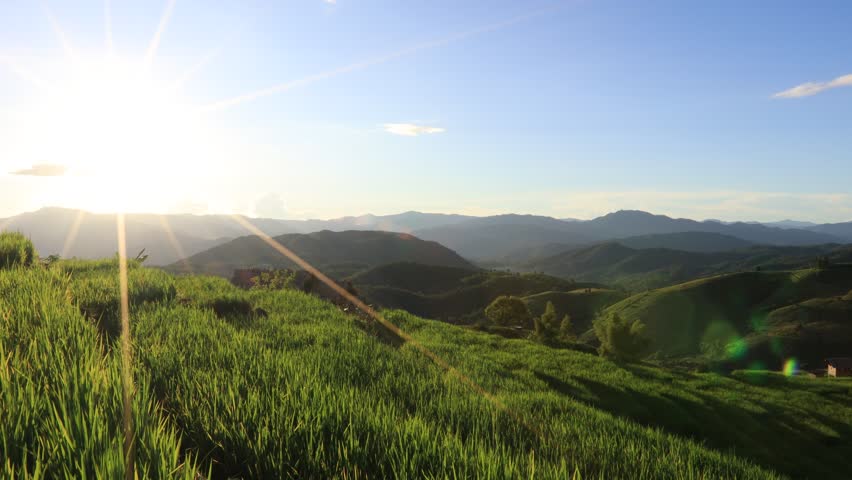High angle nature video background from the mountain, can see the scenery of trees, green rice fields and cool breeze.