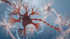 Neuron cells with synapses in human brain firing signals. Looping animation. - Powered by Shutterstock - Get 15% off with code: PIKWIZARD15