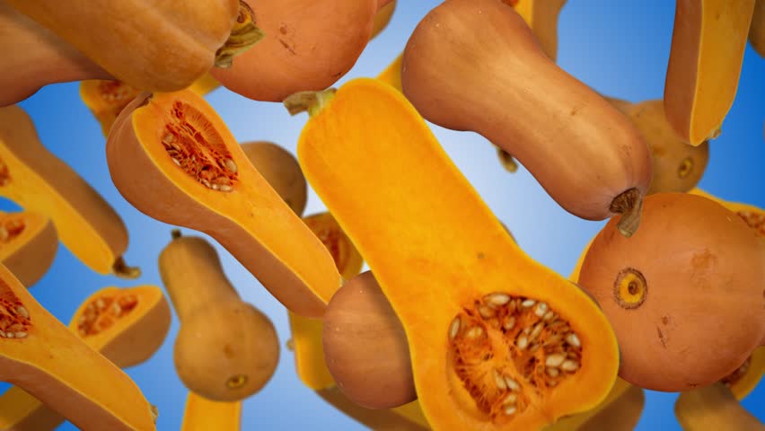 Array of butternut squashes tumbling through the air against a clear blue background. The vibrant orange hues of the squash contrast beautifully with the sky. Autumn harvest. Seamless looping video.