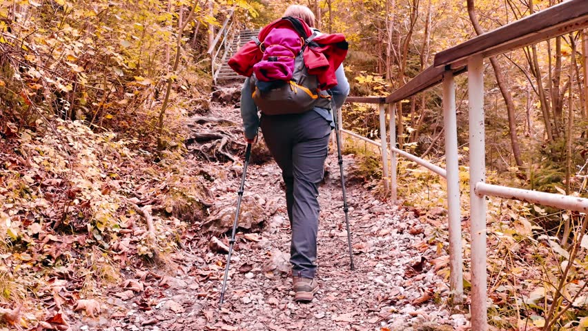 A lone hiker with a red backpack traverses a tranquil forest path, surrounded by vibrant autumn foliage, embodying solitude and adventure in nature