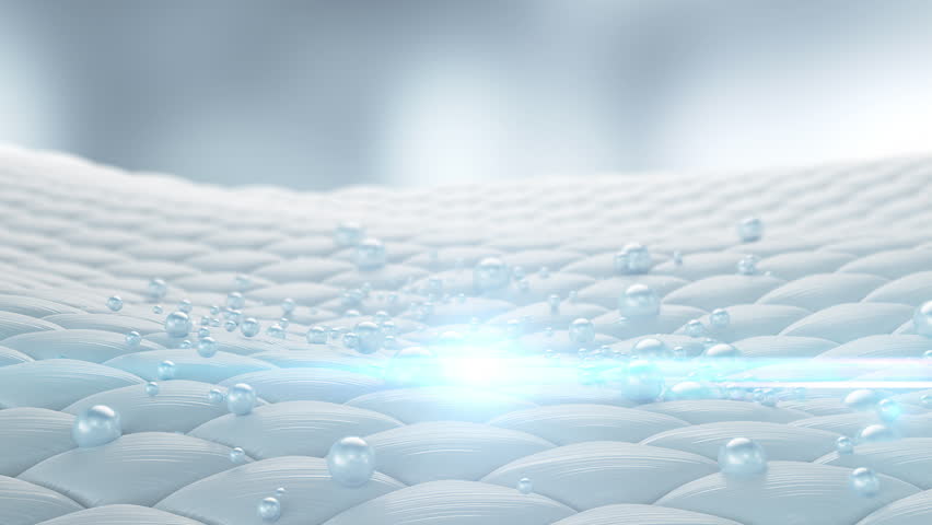 Shutterstock Video