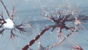 Neuron cells with synapses in human brain firing signals. Looping animation. - Powered by Shutterstock - Get 15% off with code: PIKWIZARD15