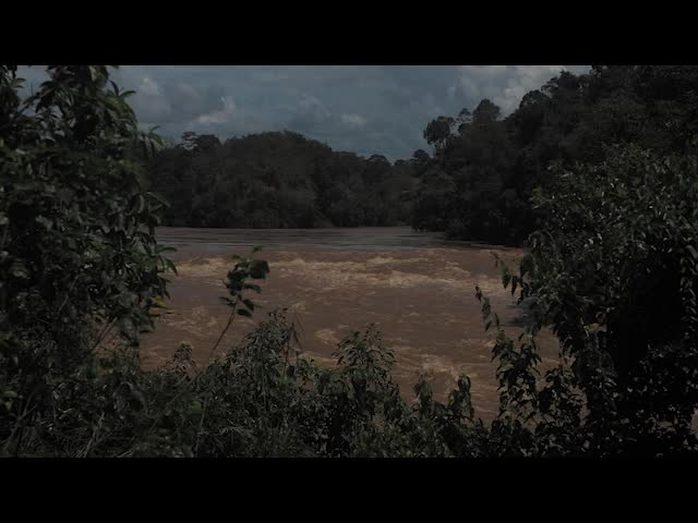 The rushing stream tumbles over smooth stones