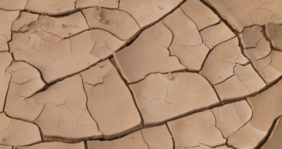 pan shot showing dry cracked river bed to small plant growing in mud.