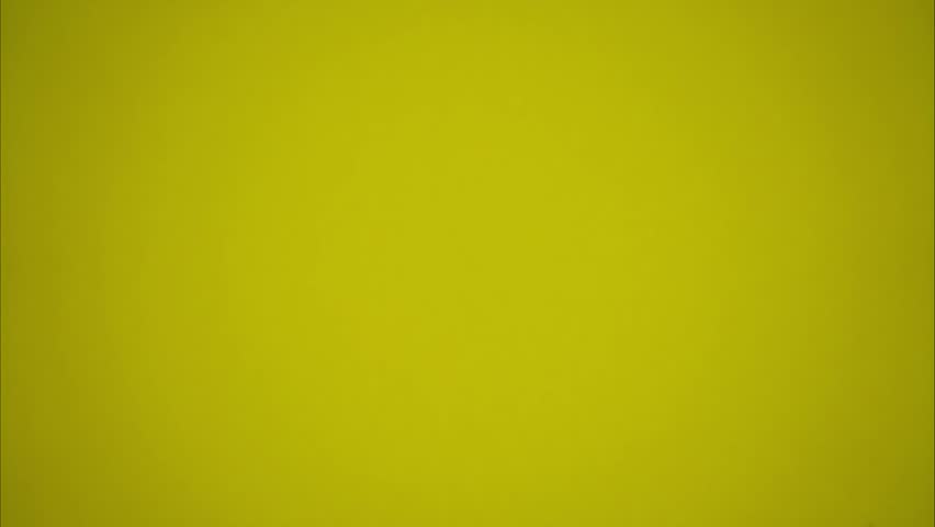 A bill of one hundred euros comes out of the black wallet. Stop motion animation