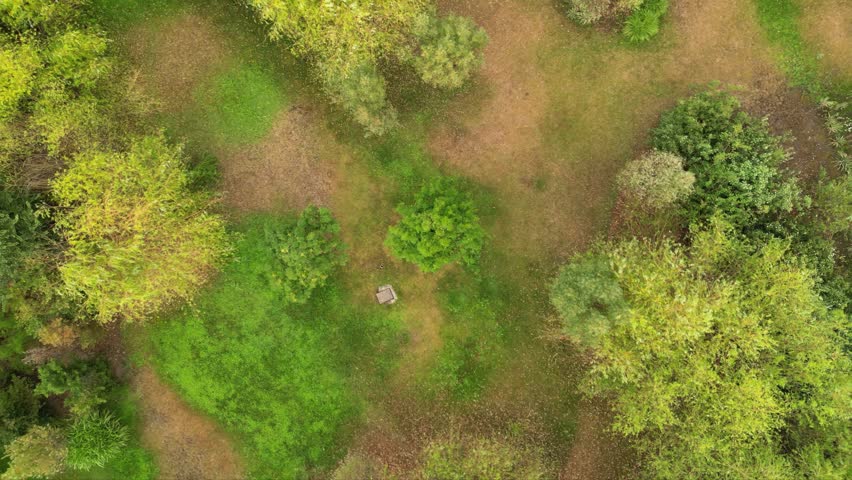 High angle drone footage of Herastrau and Piata aviatorilor Bucharest Romania. Green roundabout seen on a sunny day during golden hour. Traffic navigating a rotary intersection. Flowing traffic.