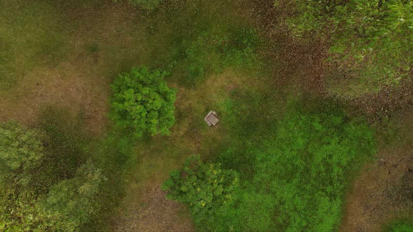 High angle drone footage of Herastrau and Piata aviatorilor Bucharest Romania. Green roundabout seen on a sunny day during golden hour. Traffic navigating a rotary intersection. Flowing traffic.