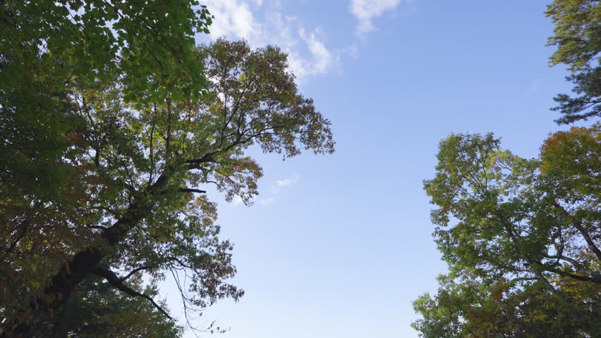 Smoky Appalachian Mountains Autumn Foliage Landscape