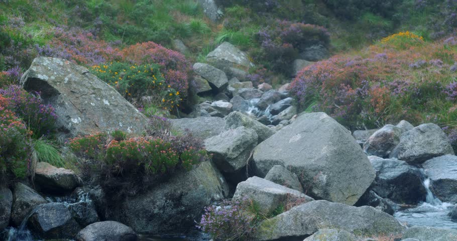 Short clips of the Glen river, located in the Mourne mountains, County Down, Northern Ireland