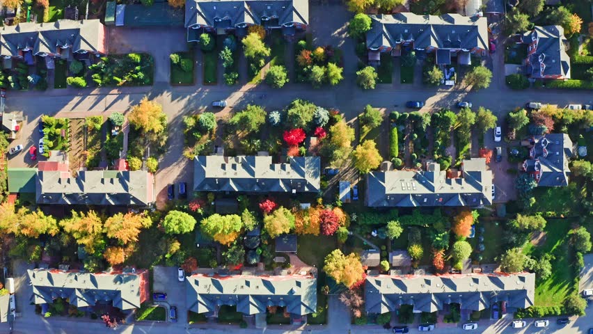 Townhouses in a sunny suburban neighborhood during a colorful autumn day with vibrant leaves and greenery