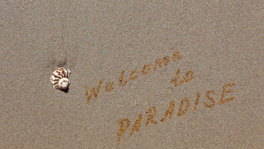 Clean beach sand. Seashell is on the sand. The words are written by the golden