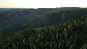 A drone flying over lush mountain forest during autumn season at sunrise in Myra-Bellevue Park, Kelowna, British Columbia, Canada - Powered by Shutterstock - Get 15% off with code: PIKWIZARD15