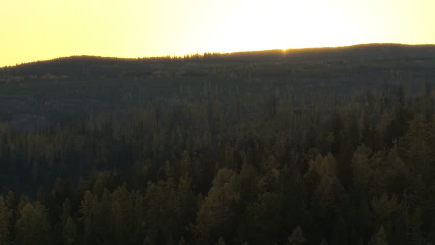 A drone ascending on a mountain forest at sunset time with yellow sky background in Myra Canyon Park, Kelowna, British Columbia, Canada