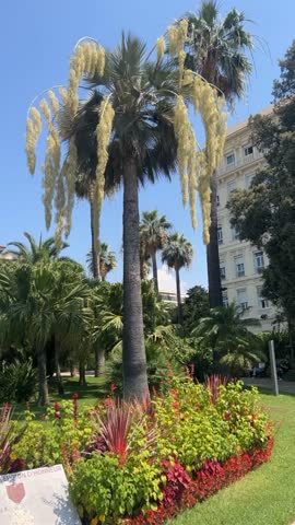 English promenade famous walkway and beach in city of Nice, French riviera. Promenade des Anglais in Nice. Nice is a popular Mediterranean tourist destination, attracting 4 million visitors each year
