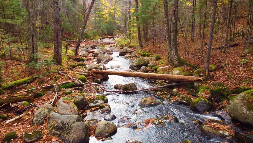 aerial journey down clear mountain stream in the fall running with water Mont Tremblant, Québec, Canada