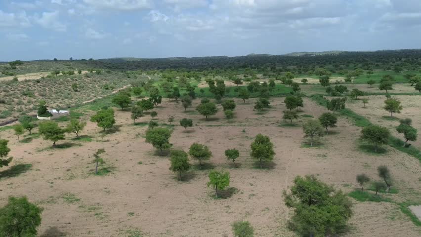 Aerial View of Green Forest through Tharparkar, Pakistan. Nature and Travel concept. 4K Landscape
