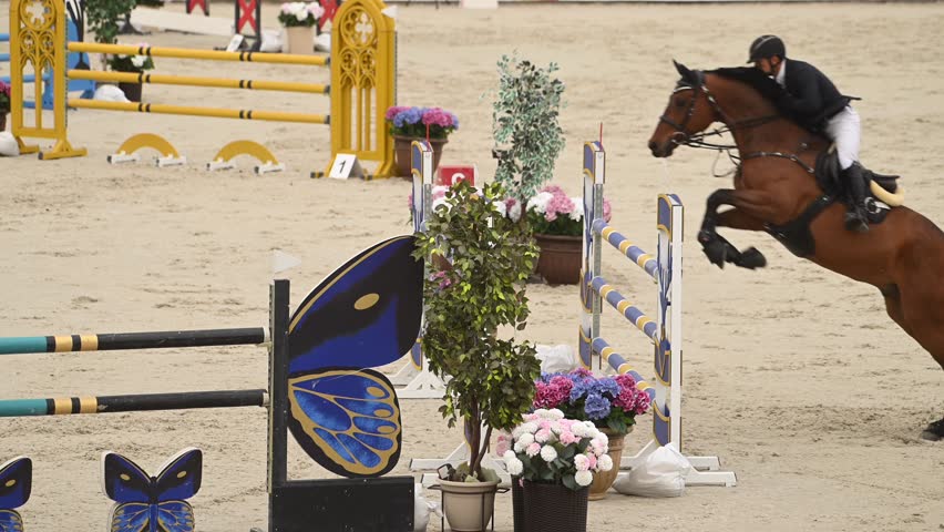 A horse and rider navigate a challenging obstacle course, featuring a unique butterfly-shaped jump